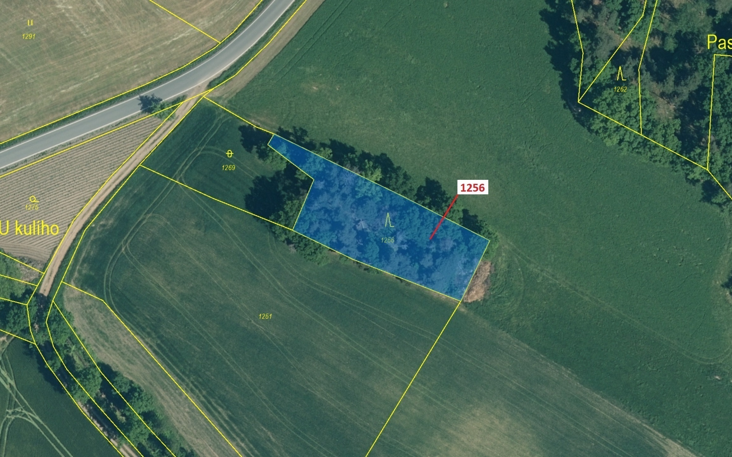 Lesní pozemek o výměře 1 284 m2, podíl 1/1, katastrální území Bezděkov u Kasejovic, obec Hradiště, o