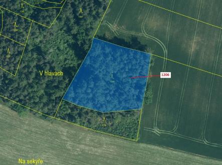 Prodej - pozemek, les, 3 718 m²