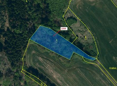 Prodej - pozemek, les, 3 646 m²