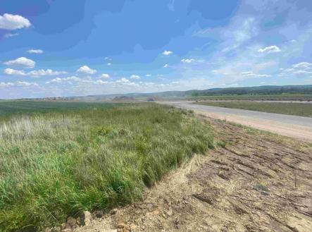 Prodej - pozemek, trvalý travní porost, 2 873 m²