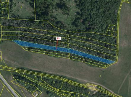 Prodej - pozemek, les, 3 316 m²