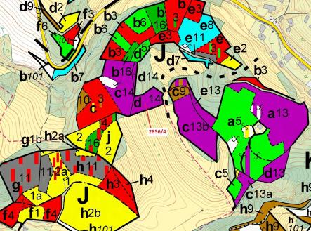 Prodej - pozemek, les, 2 709 m²