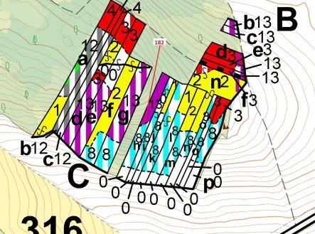 Prodej - pozemek, les, 2 665 m²