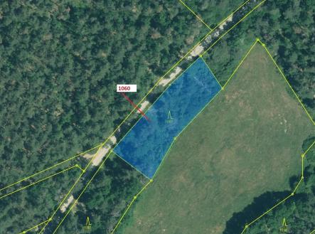 Prodej - pozemek, les, 1 462 m²