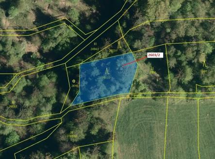 Prodej - pozemek, les, 1 036 m²