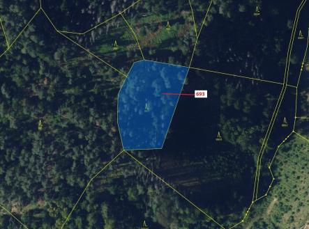 Prodej - pozemek, les, 2 813 m²