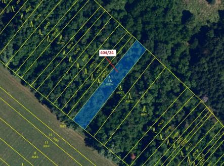 Prodej - pozemek, les, 741 m²