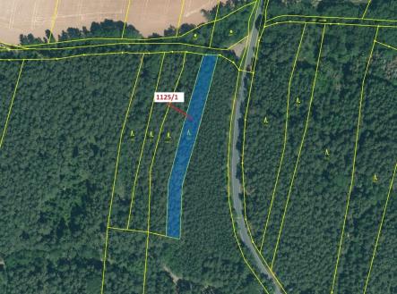 Prodej - pozemek, les, 1 988 m²