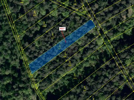 Prodej - pozemek, les, 1 282 m²