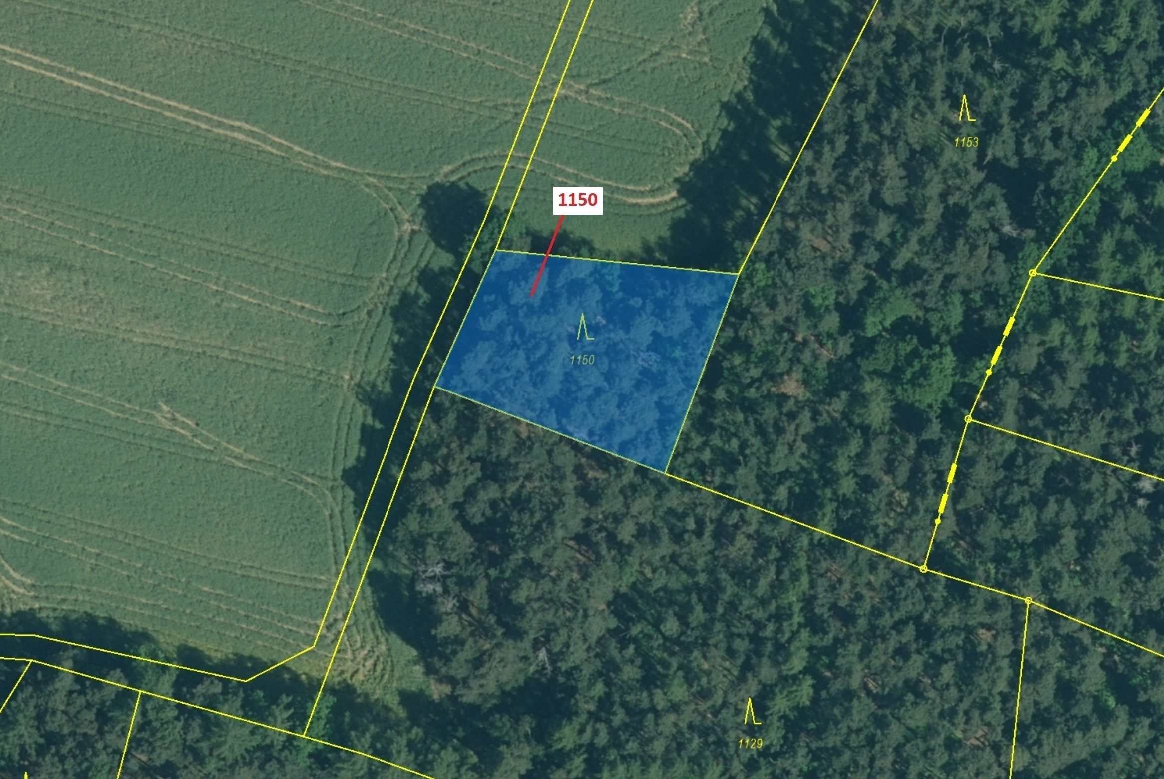 Lesní pozemek o výměře 1 116 m2, podíl 1/1, katastrální území Bezděkov u Kasejovic, obec Hradiště, o