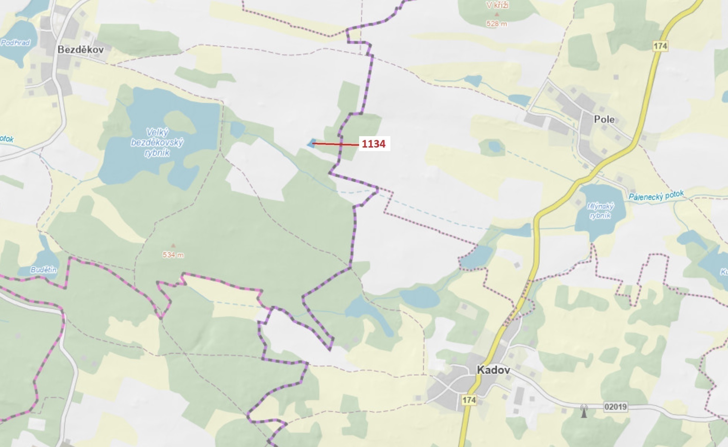 Lesní pozemek o výměře 1 083 m2, podíl 1/1, katastrální území Bezděkov u Kasejovic, obec Hradiště, o