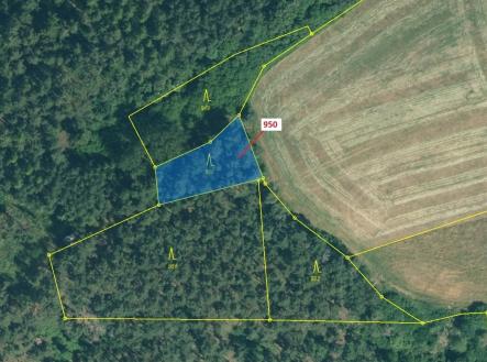 Prodej - pozemek, les, 564 m²