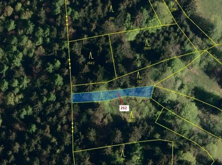 Prodej - pozemek, les, 273 m²