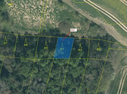 Prodej - pozemek, les, 260 m²