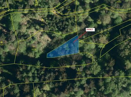 Prodej - pozemek, les, 481 m²