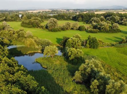 Prodej - pozemek, trvalý travní porost, 9 886 m²