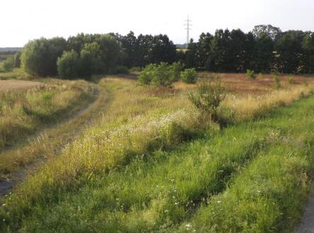 Prodej - pozemek, trvalý travní porost, 9 886 m²