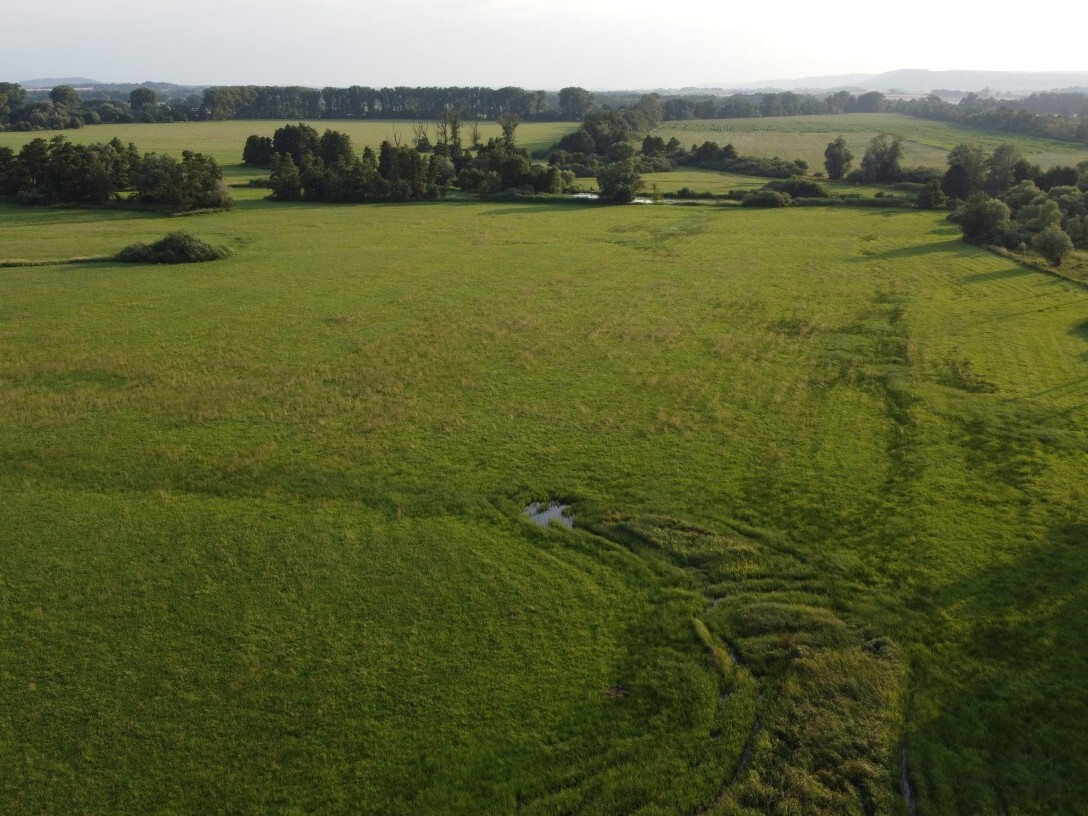 Pozemek o velikosti 9886m2, Pustějov