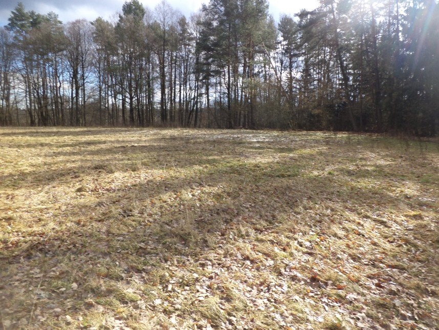 Pozemek o velikosti 15643m2, Novosedly nad Nežárkou