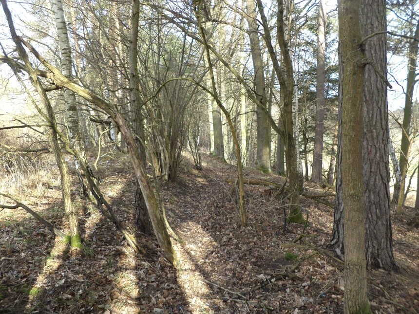 Pozemek o velikosti 15643m2, Novosedly nad Nežárkou