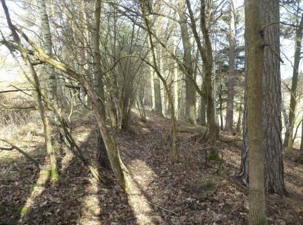 Prodej - pozemek, trvalý travní porost, 15 643 m²