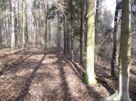 Prodej - pozemek, trvalý travní porost, 15 643 m²