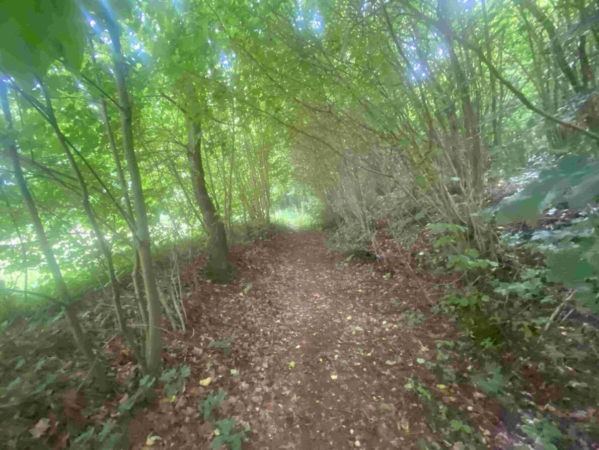 Stavební pozemek o velikosti 1004m2, Mladkov