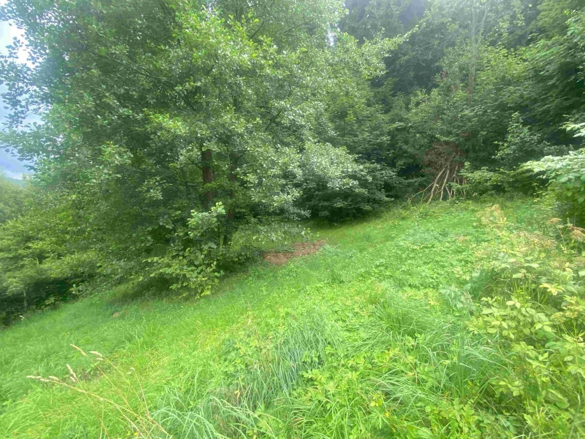 Stavební pozemek o velikosti 1004m2, Mladkov