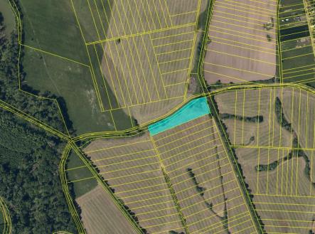 Prodej - pozemek, trvalý travní porost, 11 841 m²