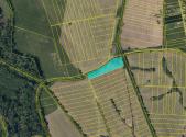 Prodej - pozemek, trvalý travní porost, 11 841 m²