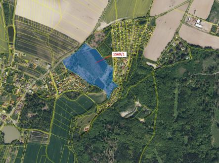 Prodej - pozemek, les, 59 928 m²