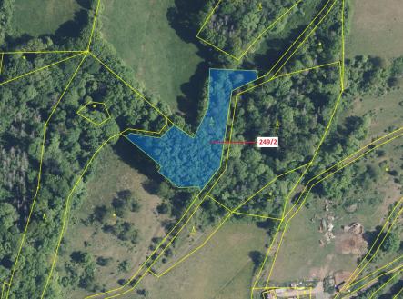 Prodej - pozemek, les, 4 192 m²