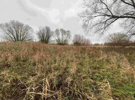 Prodej - pozemek, trvalý travní porost, 4 103 m²