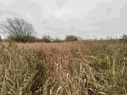 Prodej - pozemek, trvalý travní porost, 4 103 m²