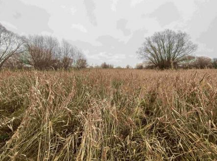 Prodej - pozemek, trvalý travní porost, 4 103 m²