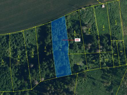 Prodej - pozemek, les, 2 054 m²