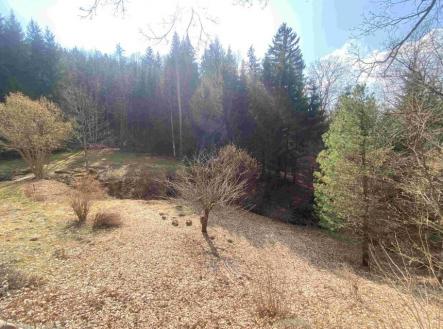 Prodej - pozemek, zahrada, 858 m²