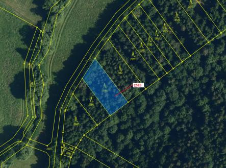 Prodej - pozemek, les, 774 m²