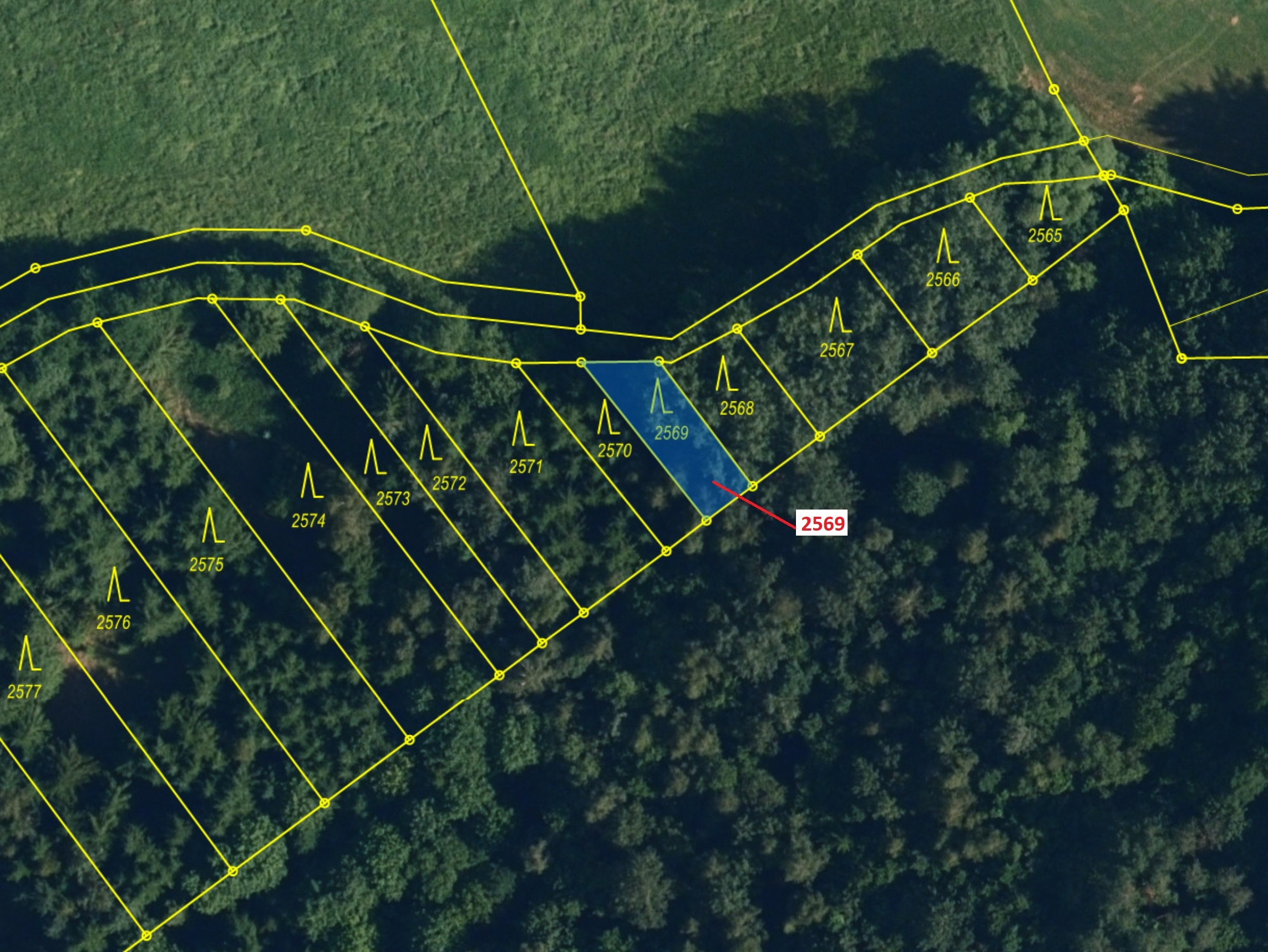 Lesní pozemek o výměře 155 m2, podíl 1/1, katastrální území Chotěbudice, obec Chotěbudice, obec s ro
