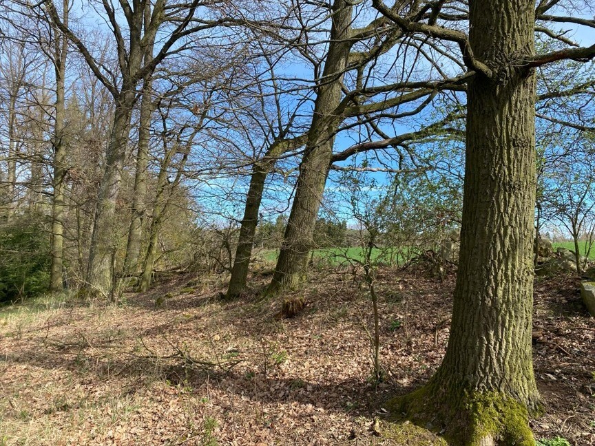 Pozemek o velikosti 17482m2, Okrouhlá Radouň