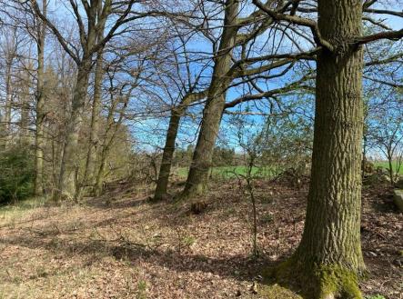 Prodej - pozemek, trvalý travní porost, 17 482 m²