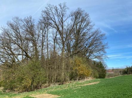 Prodej - pozemek, trvalý travní porost, 17 482 m²