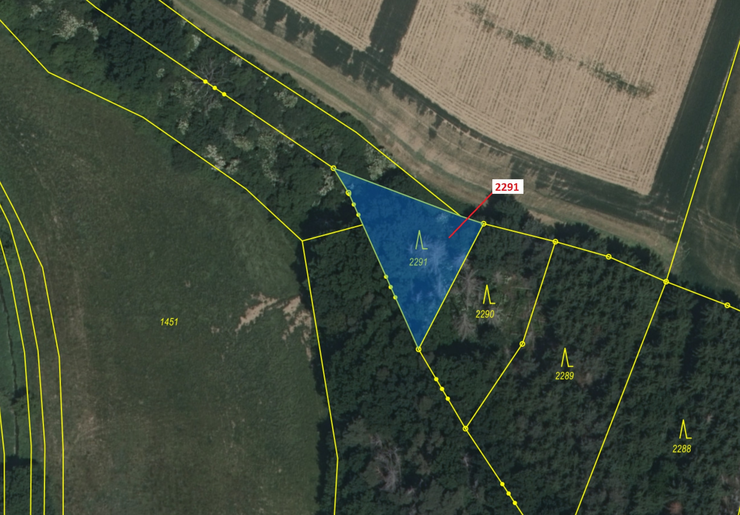 Lesní pozemek o výměře 529 m2, podíl 1/1, katastrální území Chotěbudice, obec Chotěbudice, obec s ro