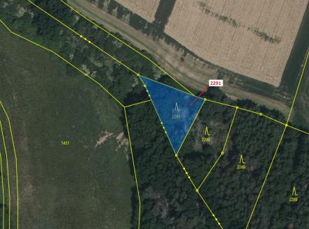 Prodej - pozemek, les, 529 m²