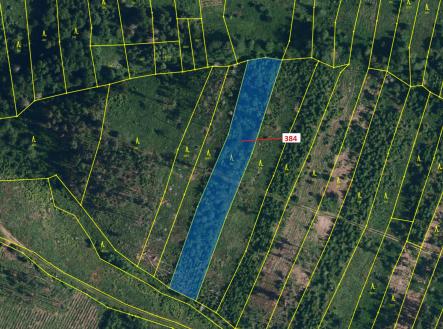 Prodej - pozemek, les, 4 302 m²