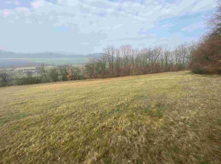 Prodej - pozemek, trvalý travní porost, 9 269 m²