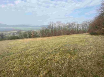 Prodej - pozemek, trvalý travní porost, 9 269 m²