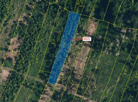 Prodej - pozemek, les, 1 670 m²