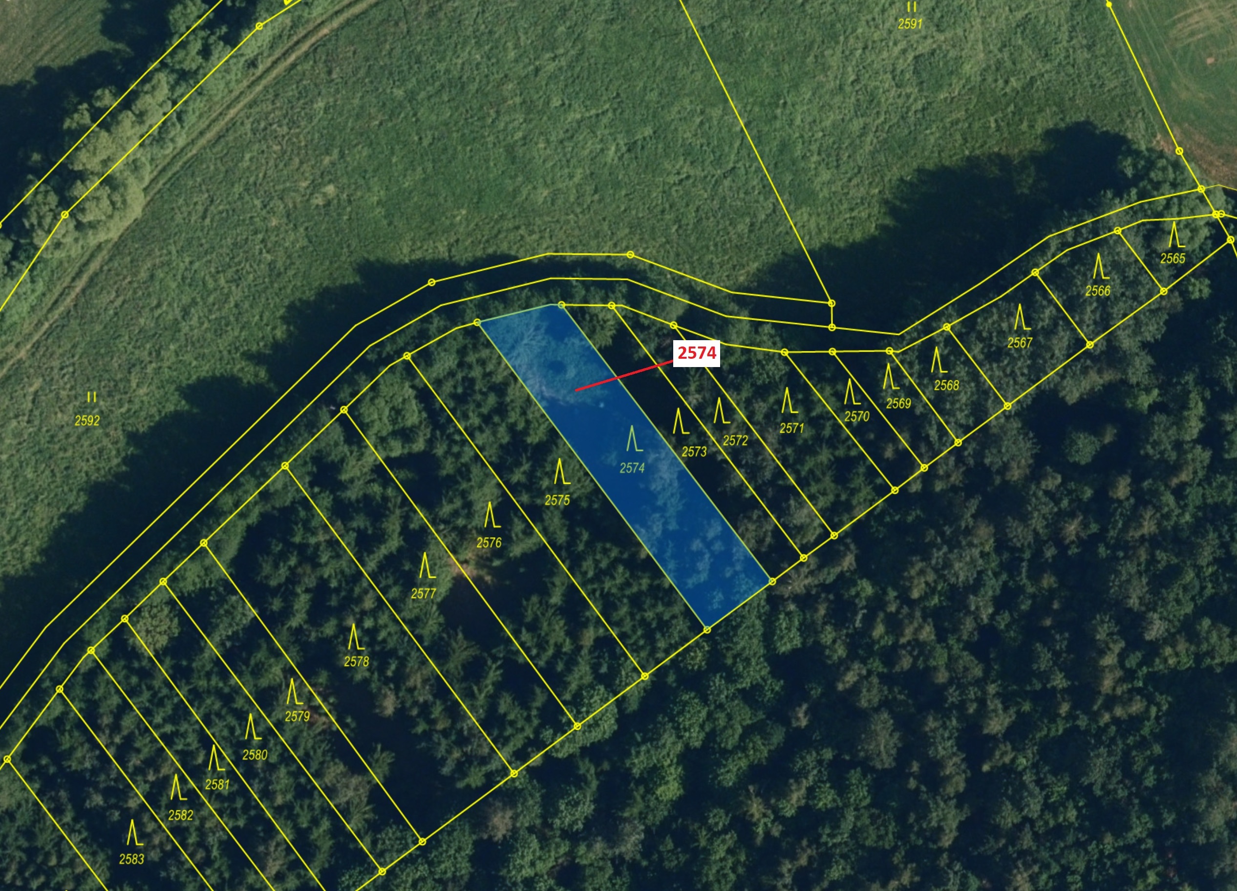 Lesní pozemek o výměře 782 m2, podíl 1/1, katastrální území Chotěbudice, obec Chotěbudice, obec s ro