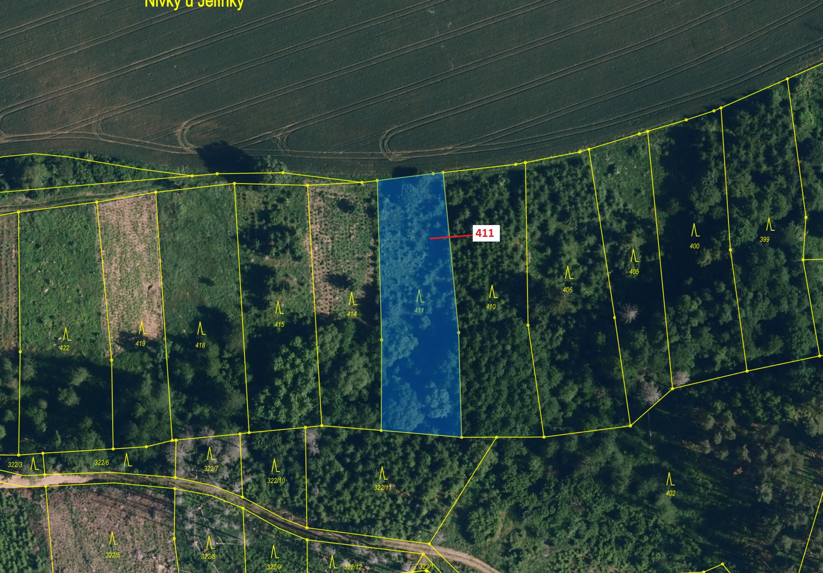 Lesní pozemek o výměře 1979 m2, podíl 1/1, katastrální území Chotěbudice, obec Chotěbudice, obec s r